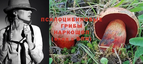 мдпв Балахна